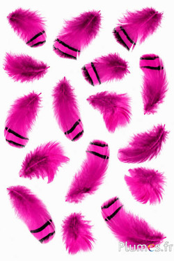Patrijs - 3-7 cm - fuchsia